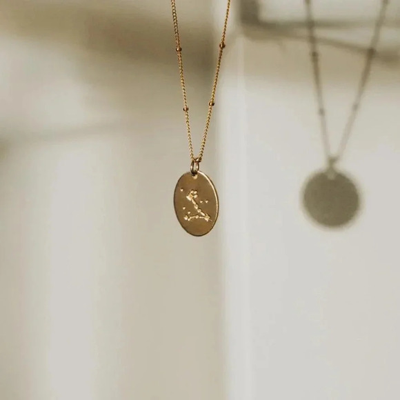Pisces Zodiac Minimalist Charm Oval Disc Necklace - Picture 4 of 11